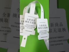 Garment Security Tag