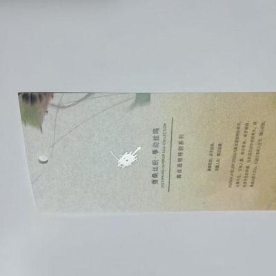 Compostable T-Shirt colgando etiqueta de ropa personalizada etiquetas de swing ODM